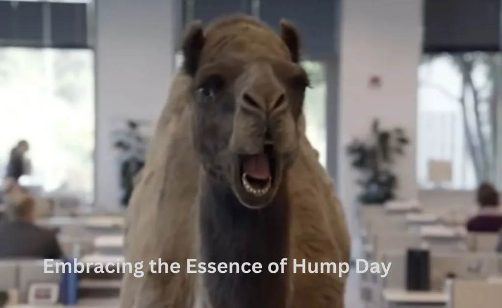 Embracing the Essence of Hump Day