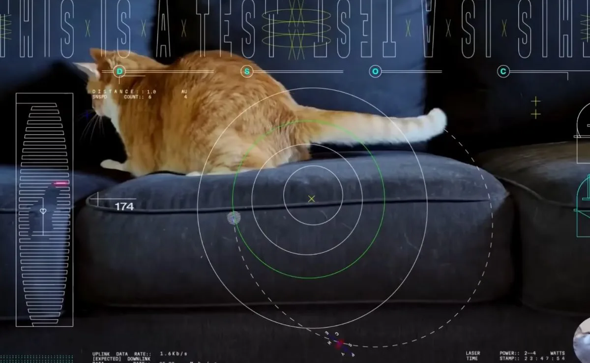 Feline Friend Takes Over Deep Space in Viral NASA Stream