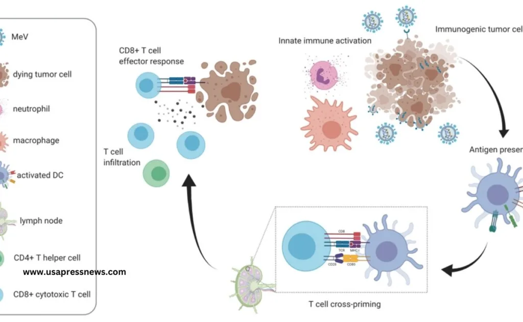 conceivable measles